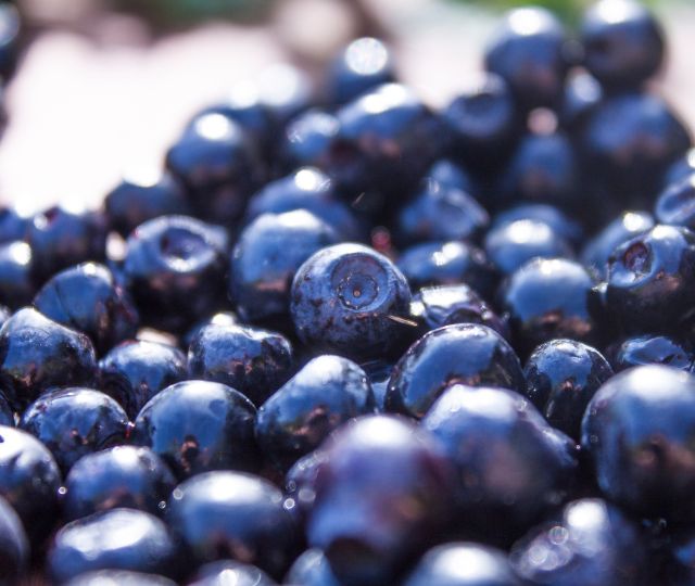 Vaccinium Myrtillus Fruit Extract