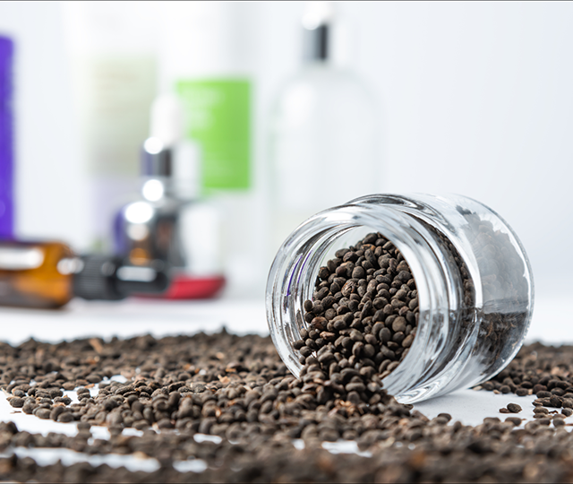 Psoralea Corylifolia Fruit Extract