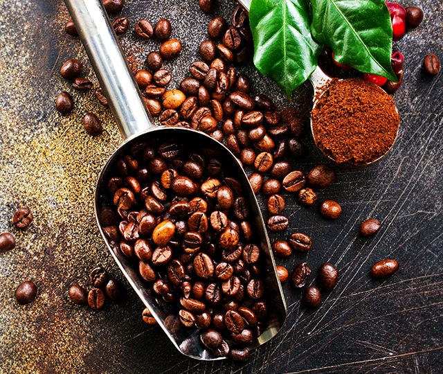 Coffee Arabica Seed Extract