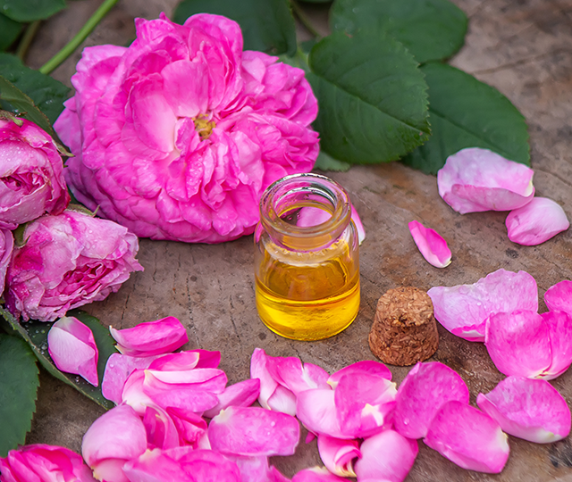 Rosa damascena flower extract