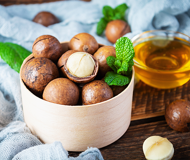 Macadamia ternifolia seed oil