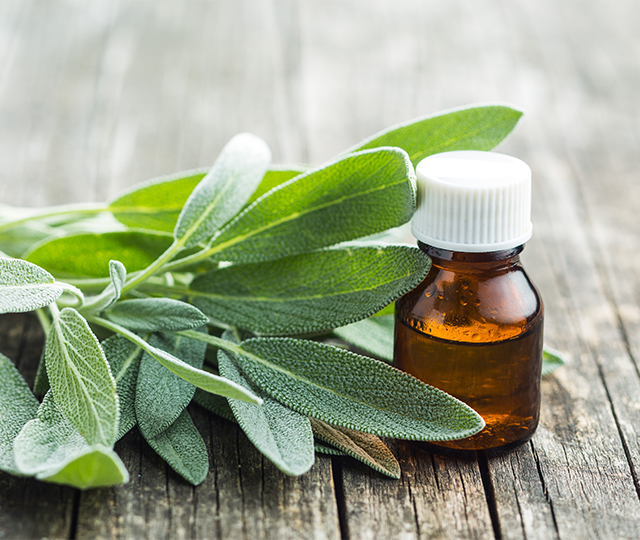 Salvia Officinalis leaf extract