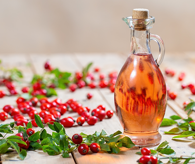 Rosa canina fruit extract