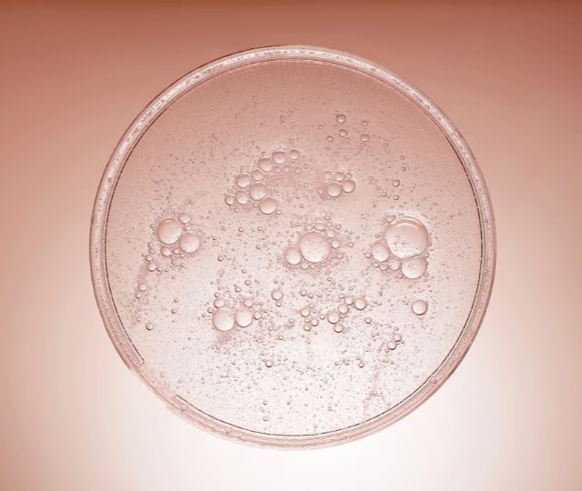 Saccharomyces ferment lysate filtrate
