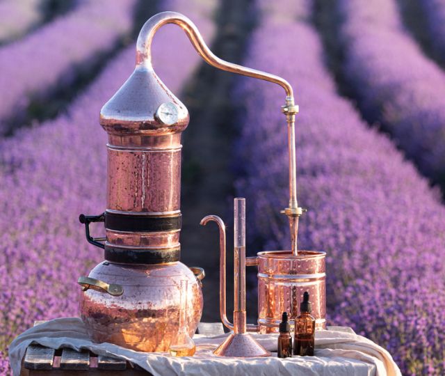 Il Magico Mondo degli Idrolati: Estratti Naturali per la Bellezza e il Benessere