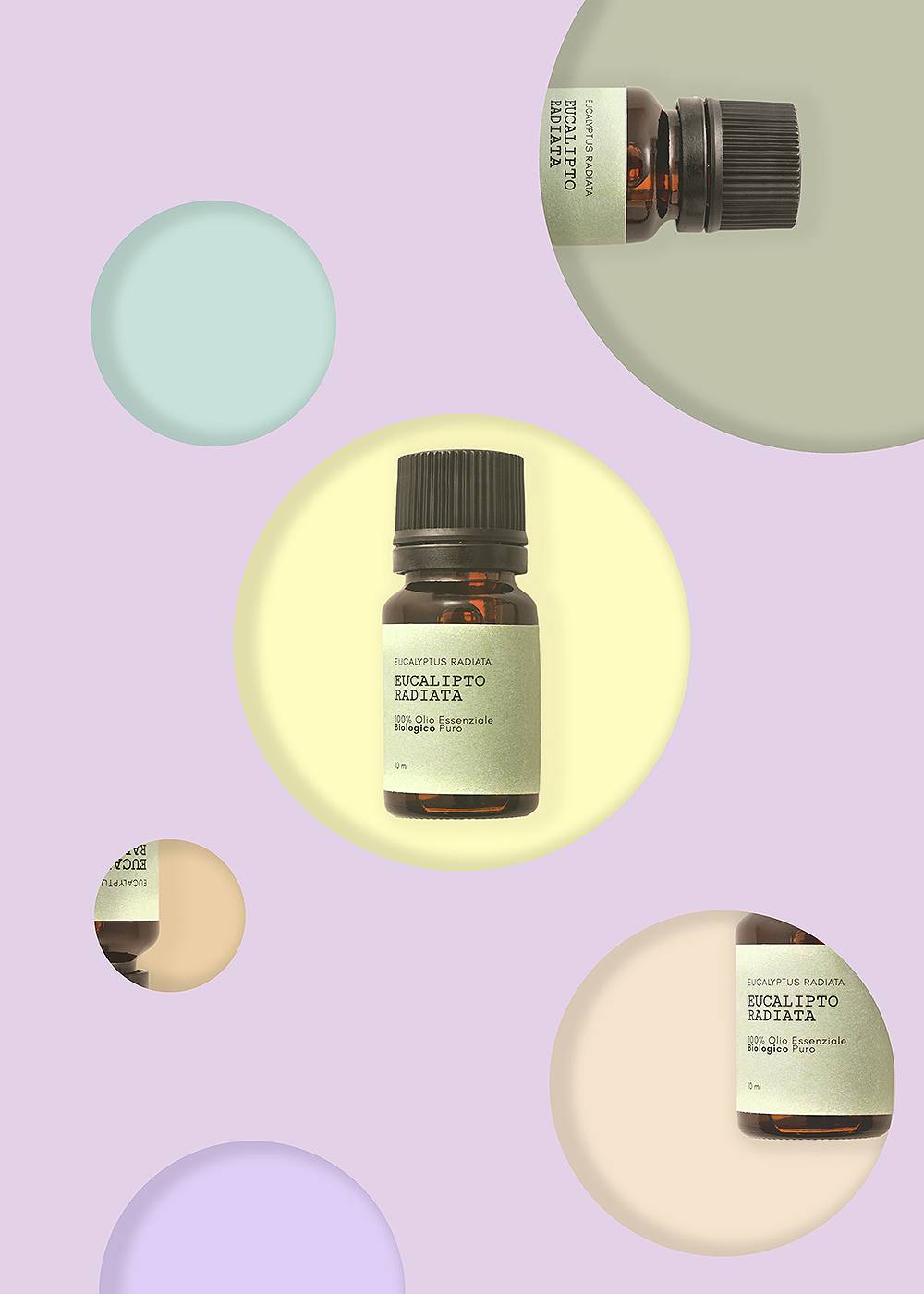 Eucalipto Radiata Bio - Olio Essenziale