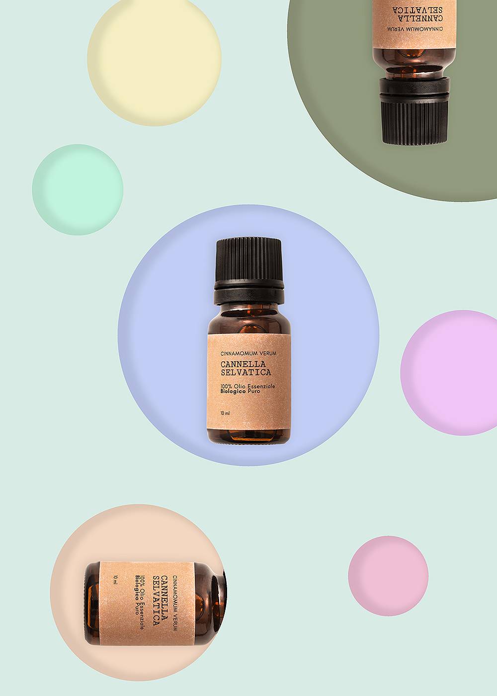 Cannella Selvatica Bio - Olio Essenziale