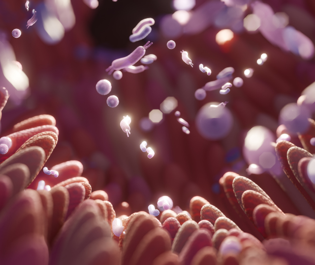 Sfratto esecutivo sul viso: Stai uccidendo i tuoi inquilini migliori? 🦠✨