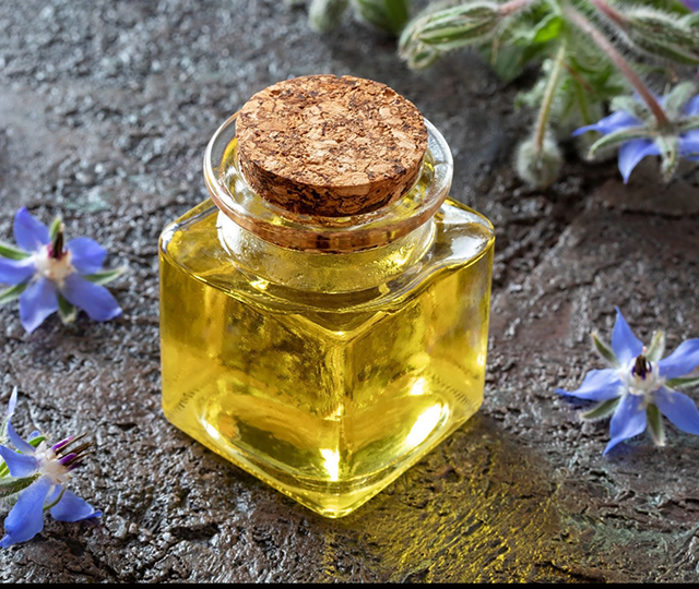 Borago officinalis seed oil