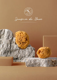 Spugna di Mare con astuccio